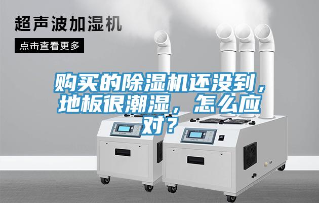 購買的91看片软件大全還沒到，地板很潮濕，怎麽應對？