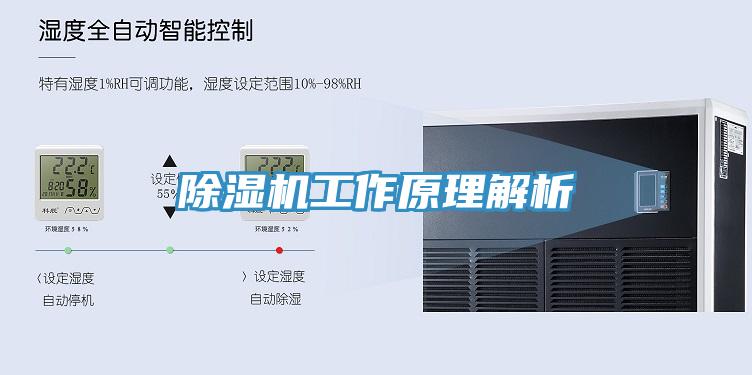 91看片软件大全工作原理解析