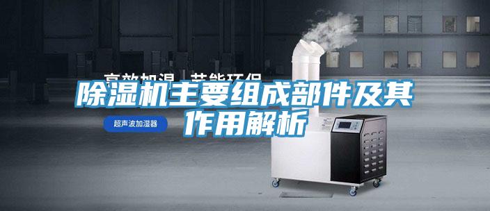 91看片软件大全主要組成部件及其作用解析