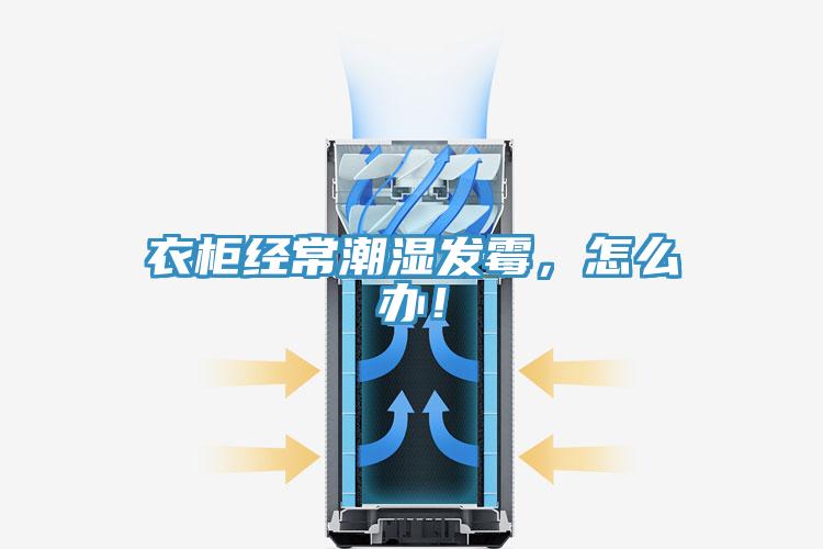 衣櫃經常潮濕發黴，怎麽辦！