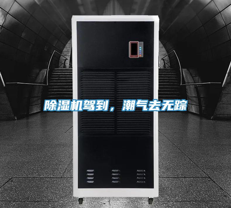 91看片软件大全駕到，潮氣去無蹤