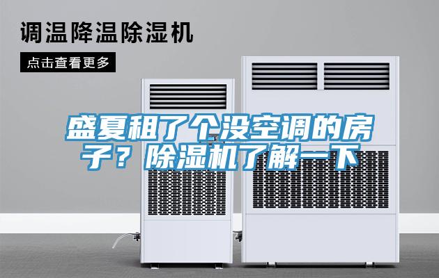 盛夏租了個沒空調的房子？91看片软件大全了解一下