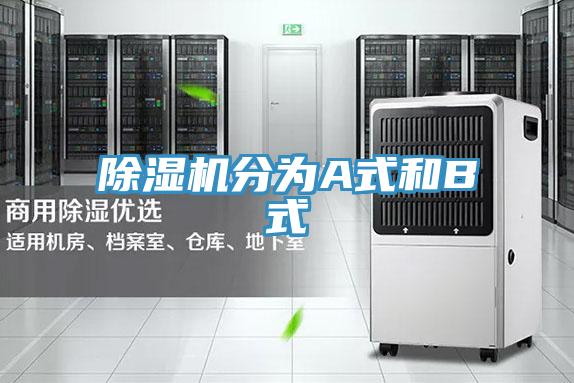 91看片软件大全分為A式和B式