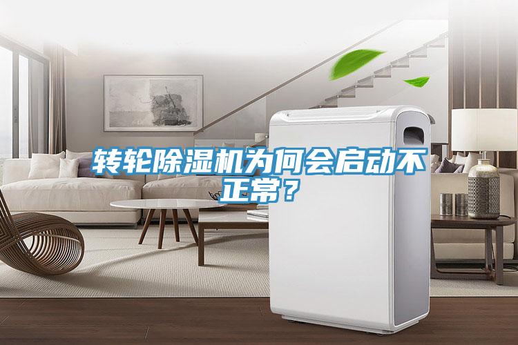 轉輪91看片软件大全為何會啟動不正常？