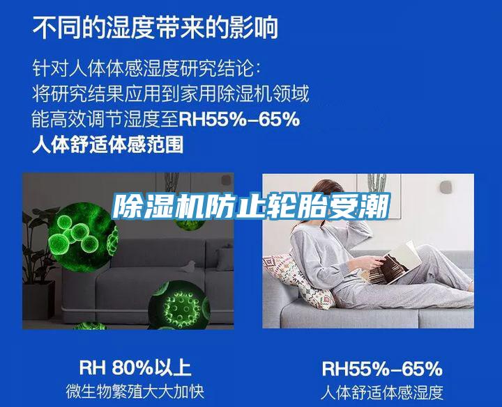 91看片软件大全防止輪胎受潮