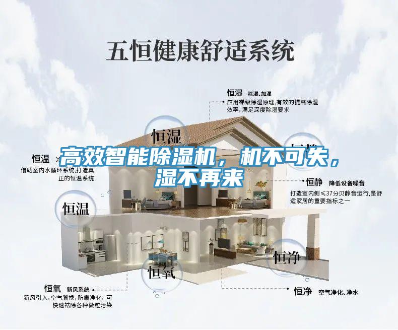 高效智能91看片软件大全，機不可失，濕不再來