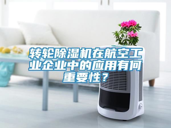 轉輪91看片软件大全在航空工業企業中的應用有何重要性？