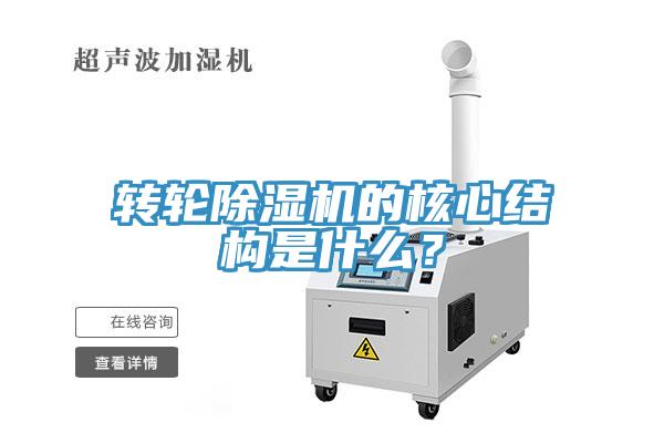 轉輪91看片软件大全的核心結構是什麽？