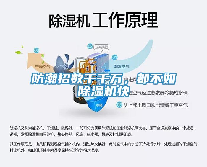防潮招數千千萬，都不如91看片软件大全快