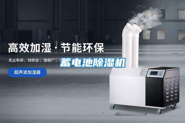 蓄電池91看片软件大全