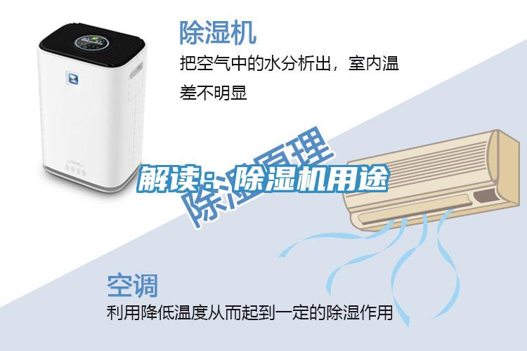 解讀：91看片软件大全用途