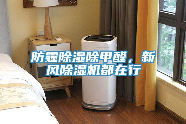 防霾除濕除甲醛，新風91看片软件大全都在行