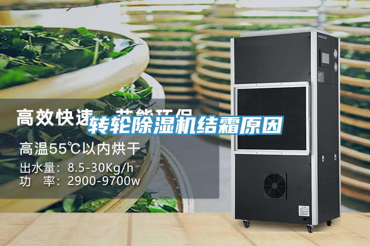 轉輪91看片软件大全結霜原因
