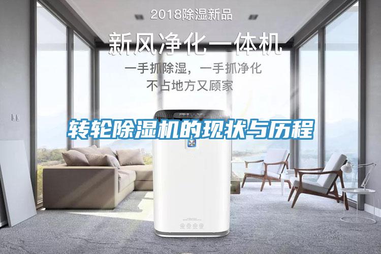 轉輪91看片软件大全的現狀與曆程