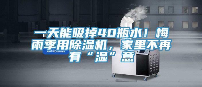 一天能吸掉40瓶水！梅雨季用91看片软件大全，家裏不再有“濕”意