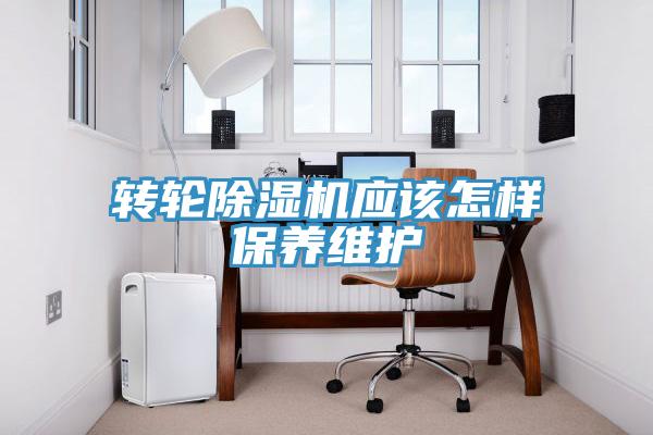 轉輪91看片软件大全應該怎樣保養維護