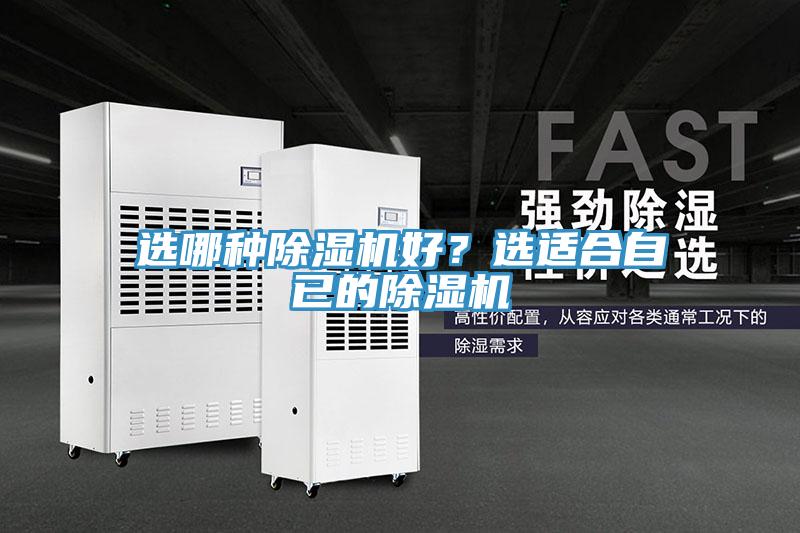 選哪種91看片软件大全好？選適合自已的91看片软件大全