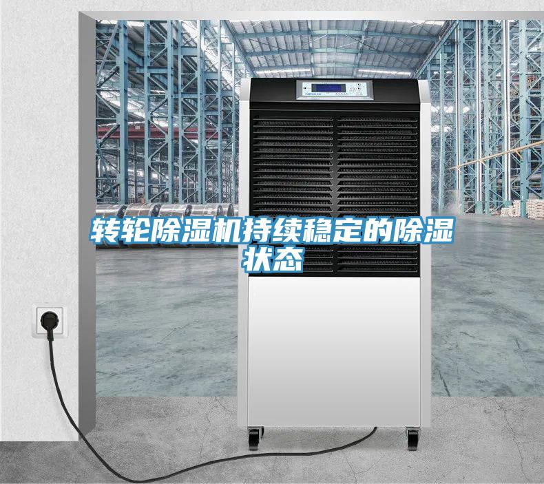 轉輪91看片软件大全持續穩定的除濕狀態