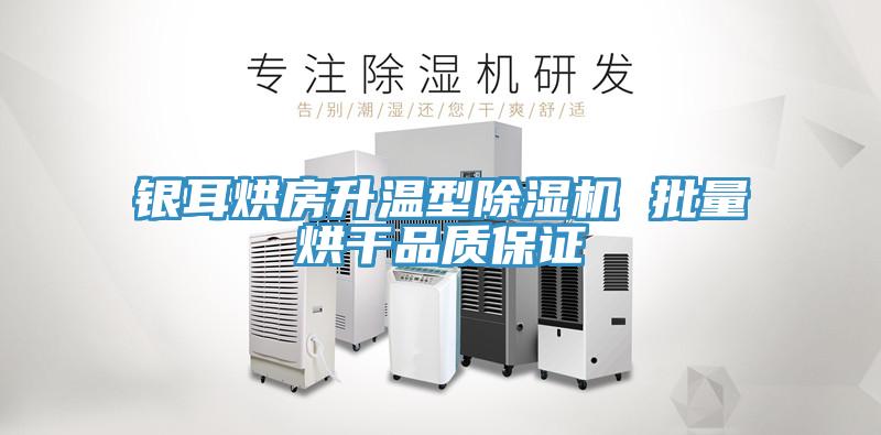 銀耳烘房升溫型91看片软件大全 批量烘幹品質保證
