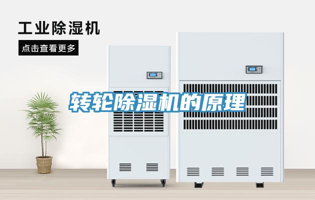 轉輪91看片软件大全的原理