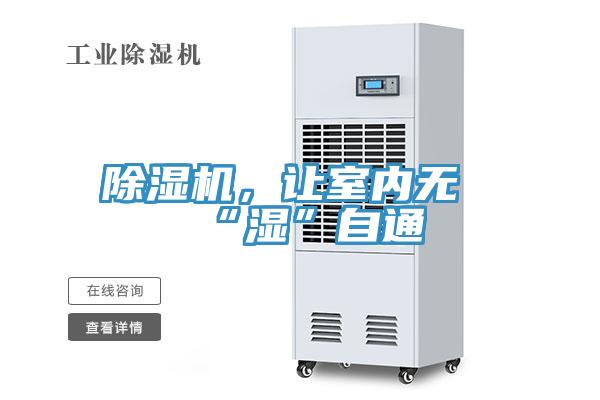 91看片软件大全，讓室內無“濕”自通