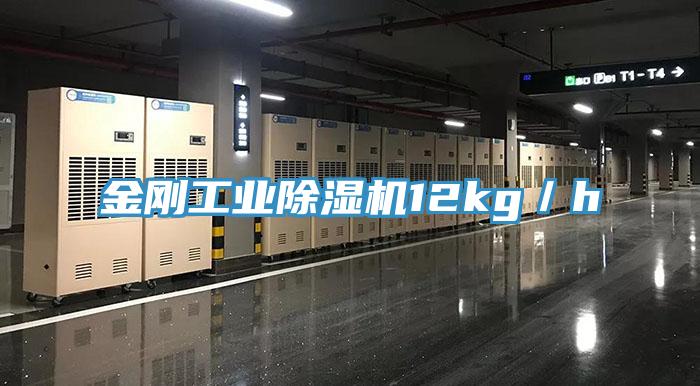 金剛工業91看片软件大全12kg／h