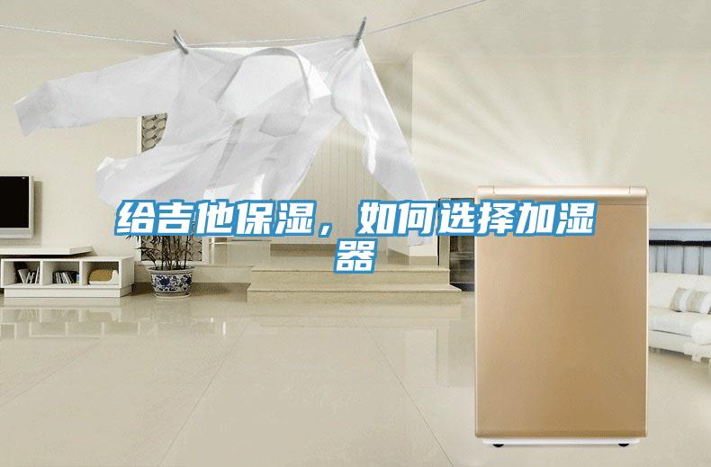 給吉他保濕，如何選擇加濕器