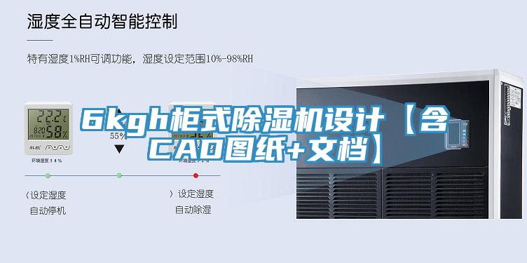 6kgh櫃式91看片软件大全設計【含CAD圖紙+文檔】