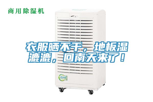 衣服曬不幹，地板濕漉漉，回南天來了！