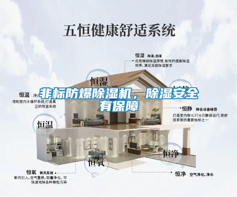 非標防爆91看片软件大全，除濕安全有保障