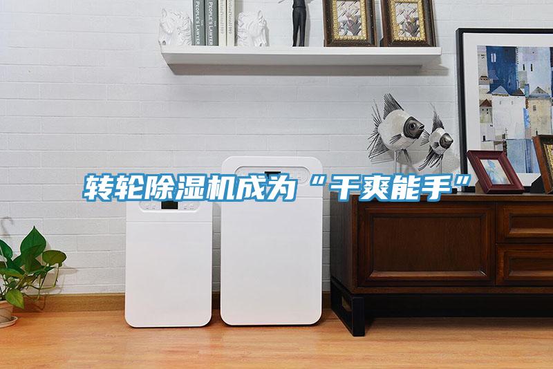 轉輪91看片软件大全成為“幹爽能手”