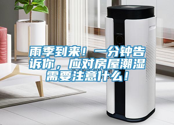 雨季到來！一分鍾告訴你，應對房屋潮濕需要注意什麽！