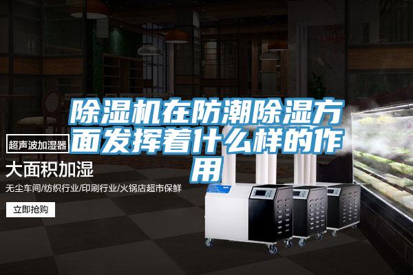 91看片软件大全在防潮除濕方麵發揮著什麽樣的作用