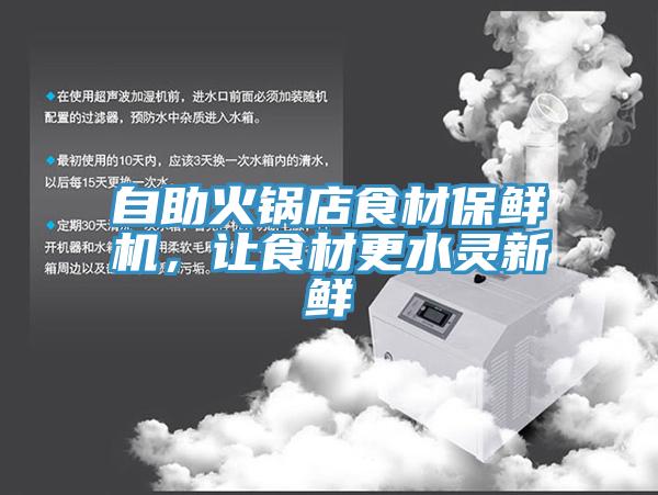 自助火鍋店食材保鮮機，讓食材更水靈新鮮