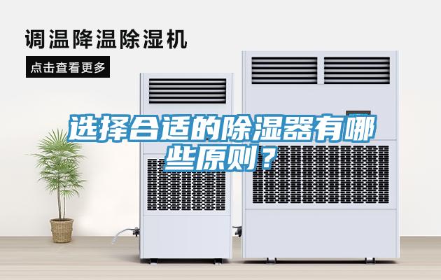 選擇合適的除濕器有哪些原則？