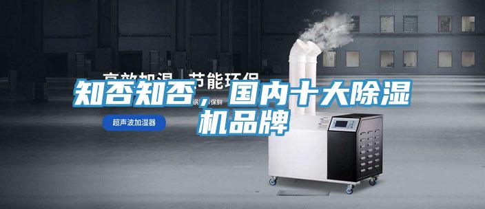 知否知否，國內十大91看片软件大全品牌