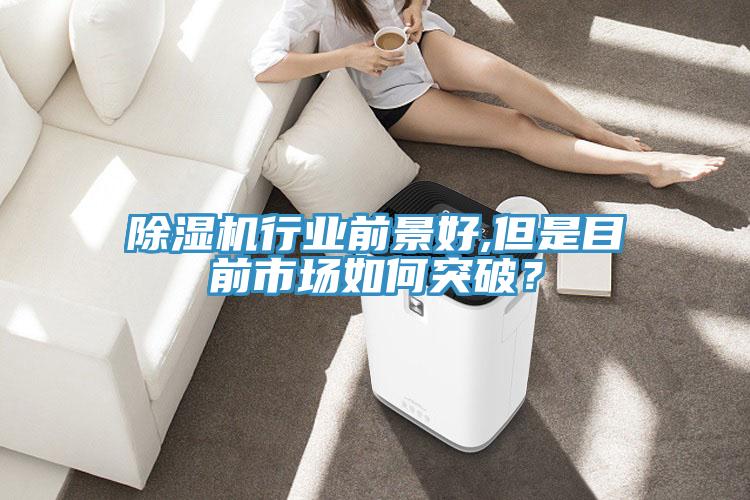 91看片软件大全行業前景好,但是目前市場如何突破？