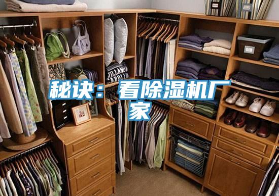 秘訣：看91看片软件大全廠家