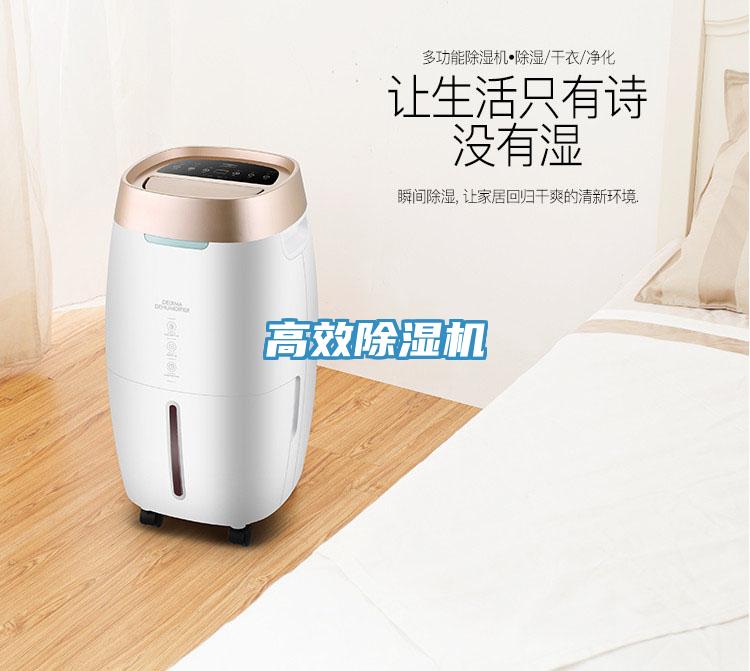 高效91看片软件大全