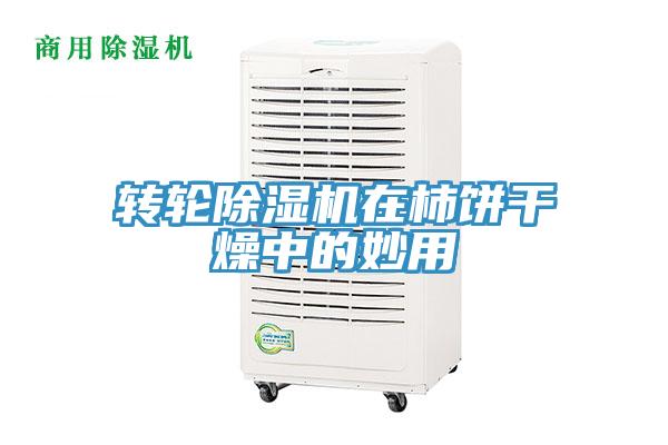 轉輪91看片软件大全在柿餅幹燥中的妙用