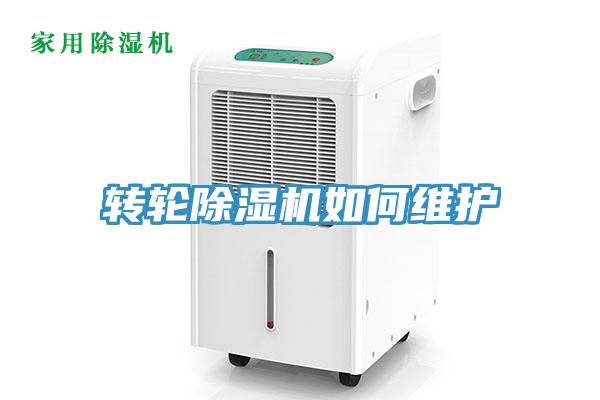 轉輪91看片软件大全如何維護