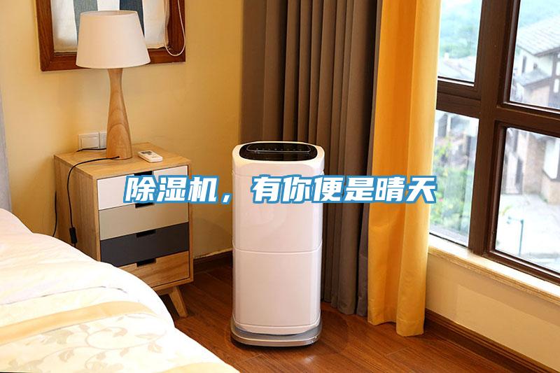 91看片软件大全，有你便是晴天