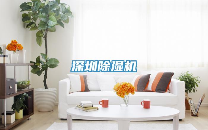 深圳91看片软件大全