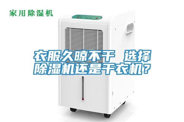 衣服久晾不幹 選擇91看片软件大全還是幹衣機？