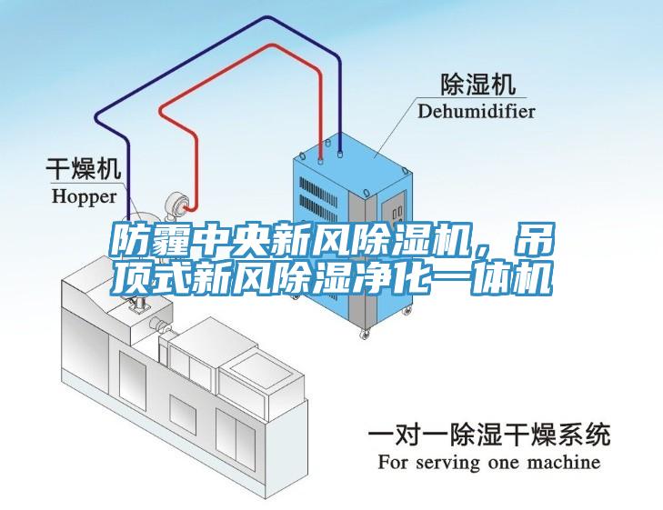 防霾中央新風91看片软件大全，吊頂式新風除濕淨化一體機