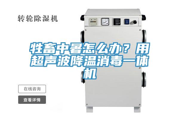 牲畜中暑怎麽辦？用超聲波降溫消毒一體機