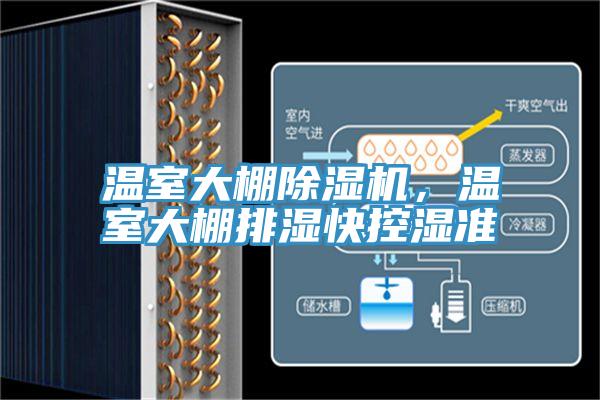 溫室大棚91看片软件大全，溫室大棚排濕快控濕準