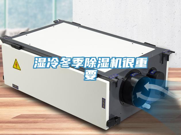 濕冷冬季91看片软件大全很重要