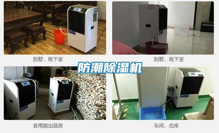 防潮91看片软件大全