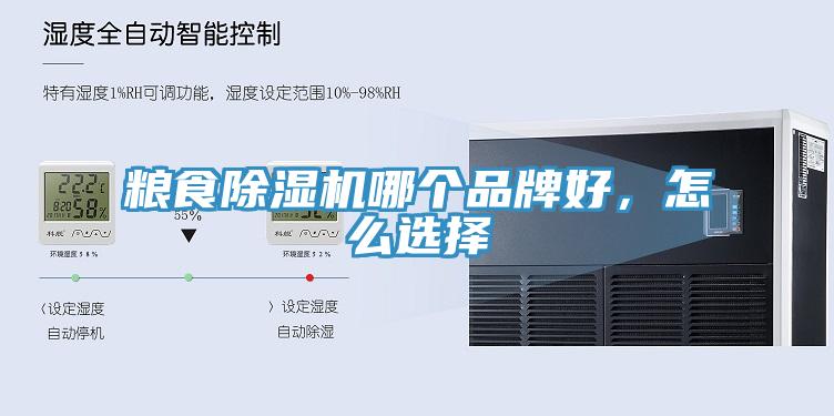 糧食91看片软件大全哪個品牌好，怎麽選擇